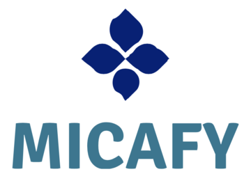 Synthetic Mica Sample Set Powdered Pigments